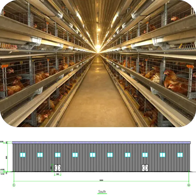 Manufacturer Prefabricated Steel Structure Galvanized Chicken House for 10000 Chickens