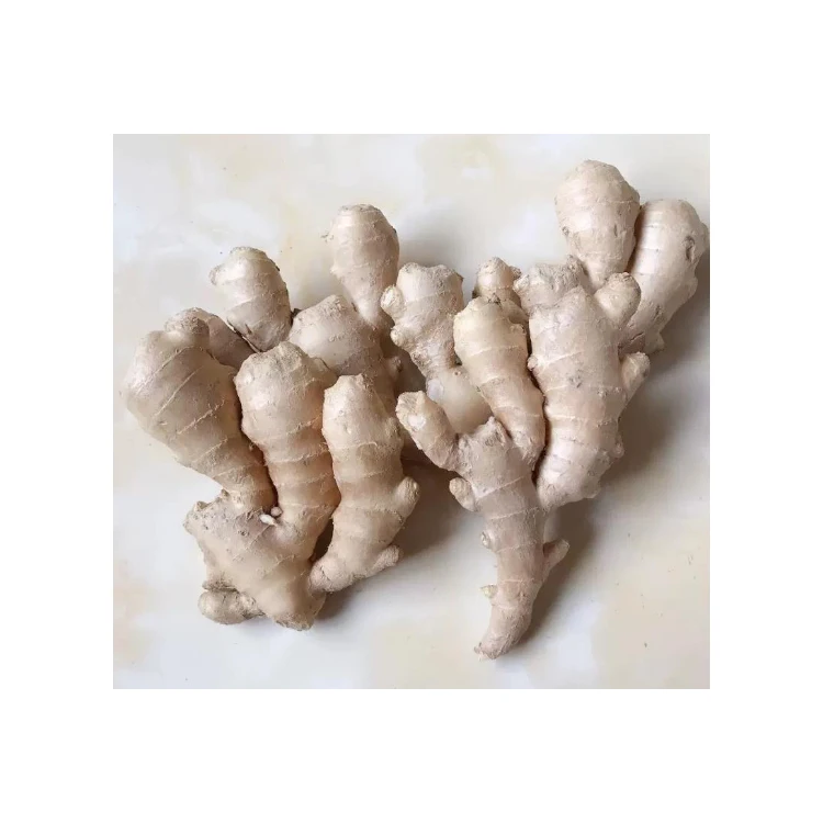 Mellow whole export fresh frozen gingers from China yantai famer
