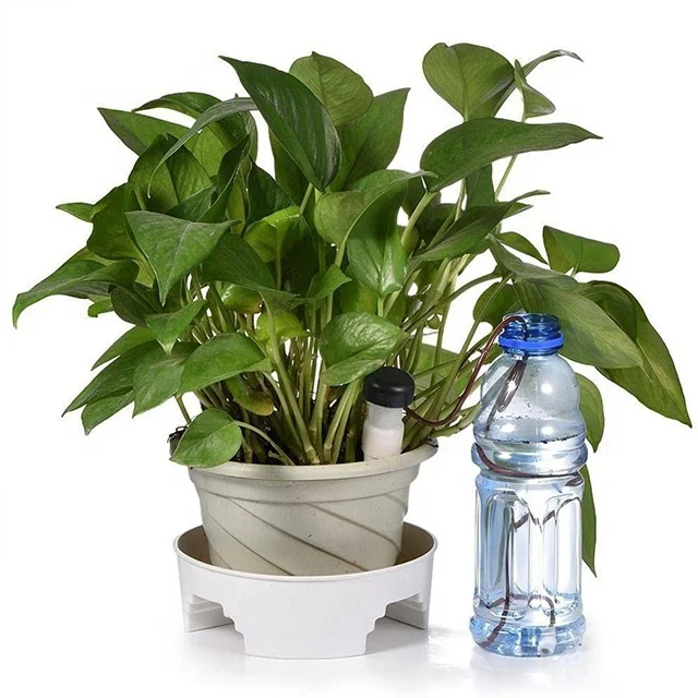 Automatic Waterer Kit / Ceramic cone Holiday Plant sitter automatic Self Watering Kit Garden Plant watering sensor plant waterer