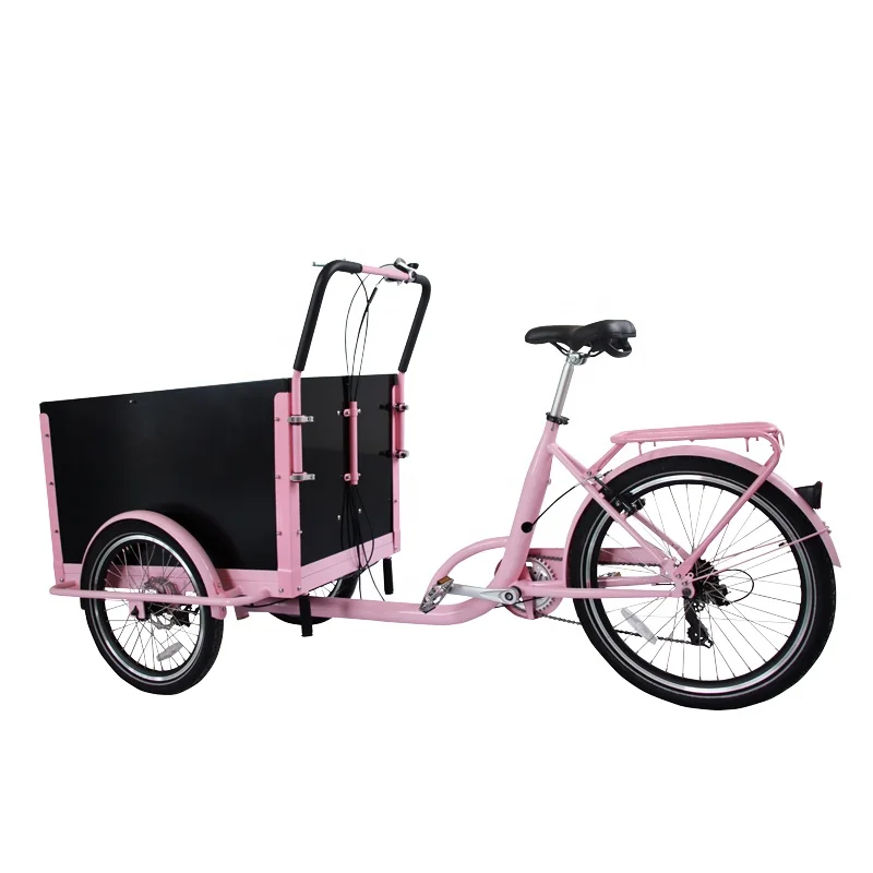 2023 семейное детское сиденье с толстыми шинами трехколесный электрический велосипед Электрический Грузовой Велосипед электронный собакой и кошкой