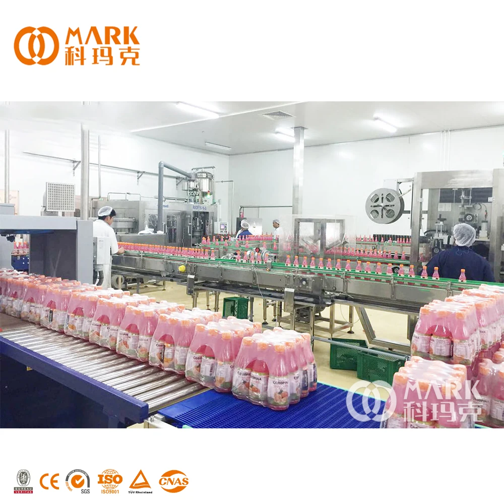 Full Automatic Juice Beverages Drink  Filler Caper Washing Making Machine Production Line Small