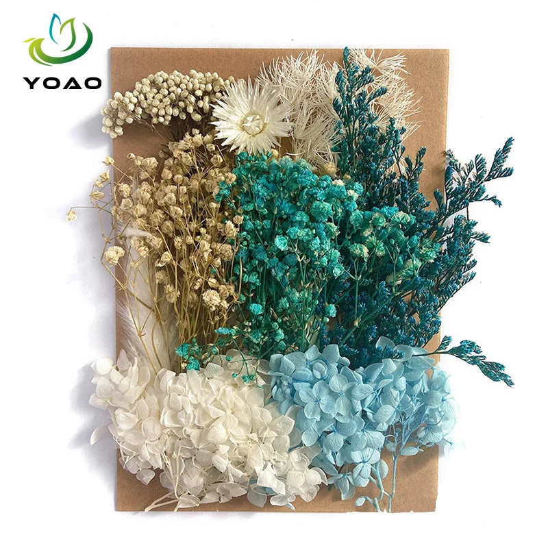 Dried Natural Pressed Flowers Colorful Dry Plants Decoration Craft DIY Resin Soap Candle Making Kit Wholesale