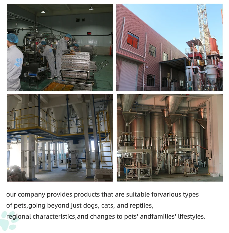 Лидер продаж корм для домашних животных в коробке товары собак