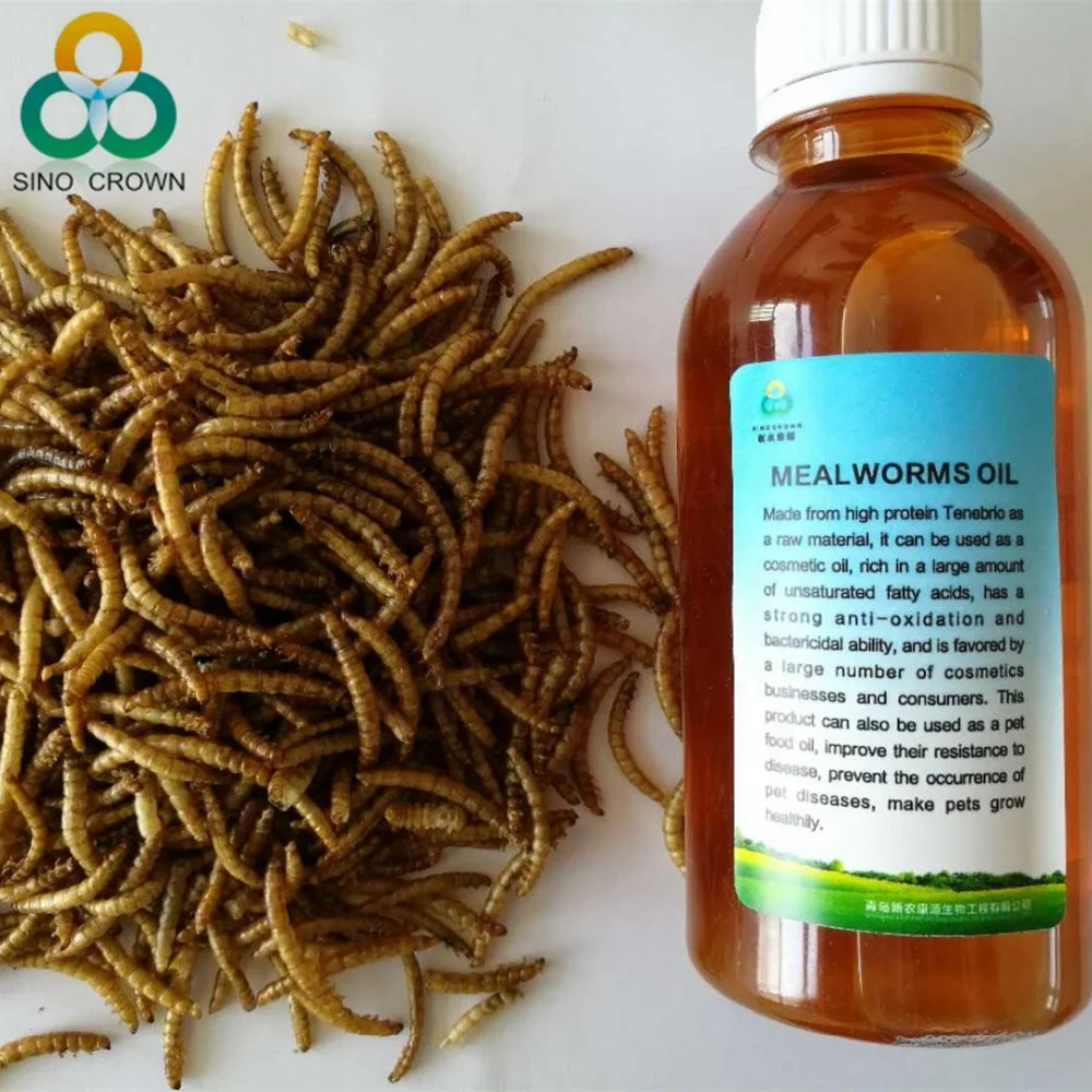 Factory feed additives Pet Food Bird Food Edible Tenebrio Molitor Dried Mealworm