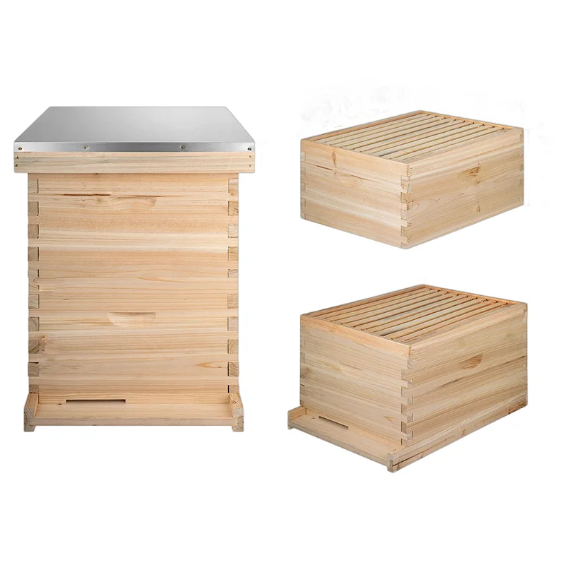 Chinese bee hives wood langstroth hive 10 frame wooden hives for bees beekeeping equipment