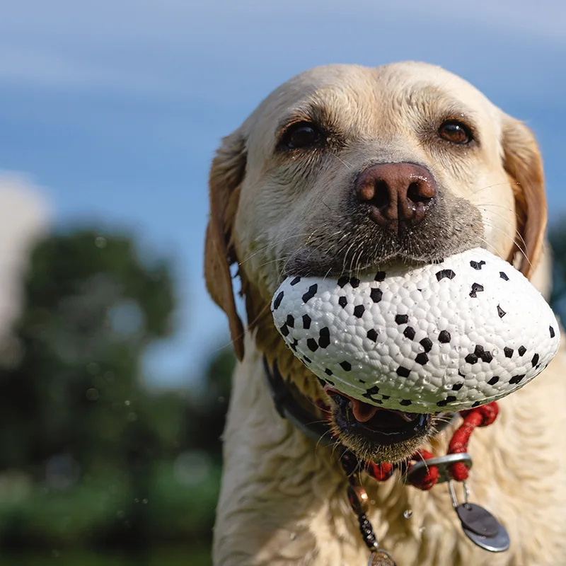 Dog toy Golden Retriever Bite ball Teething dog boredom ball Fun Shiba Inu Corgi high Big dog pet training ball