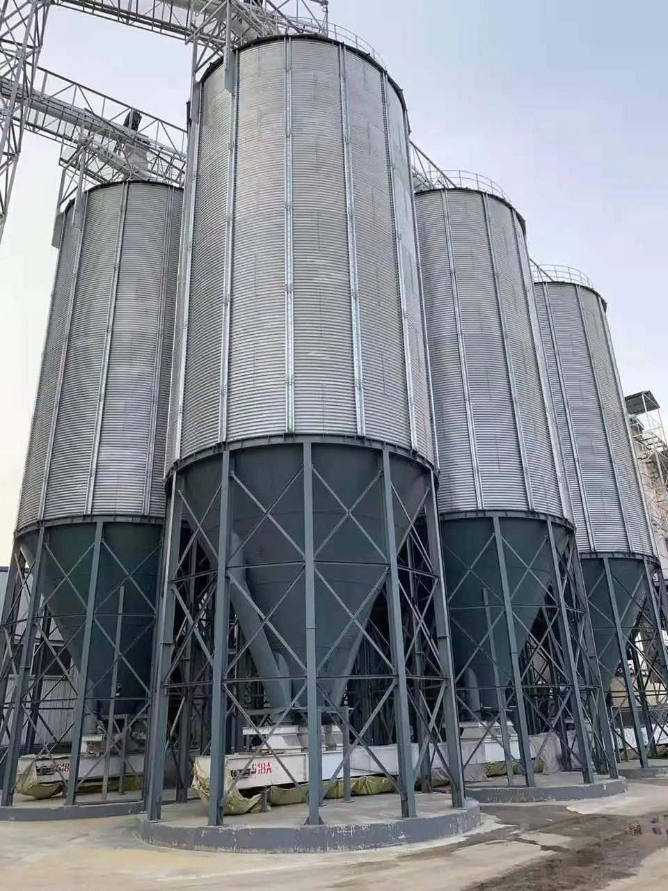 Конус зерновой корзины для продажи 50t- 5000t с доном бункера из оцинкованной стали поставщики старых зерновых