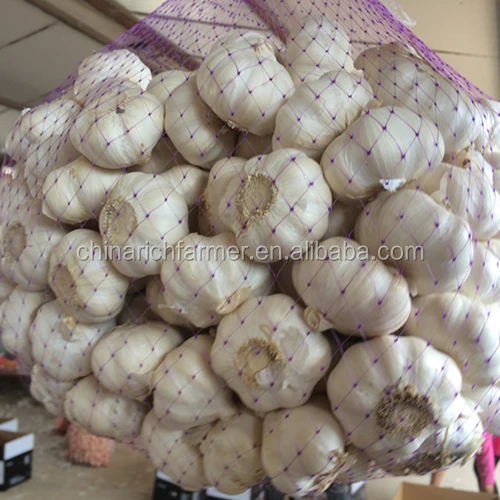 China Origin Factory Supplier Wholesale High Quality Cheap Price of Fresh White Garlic