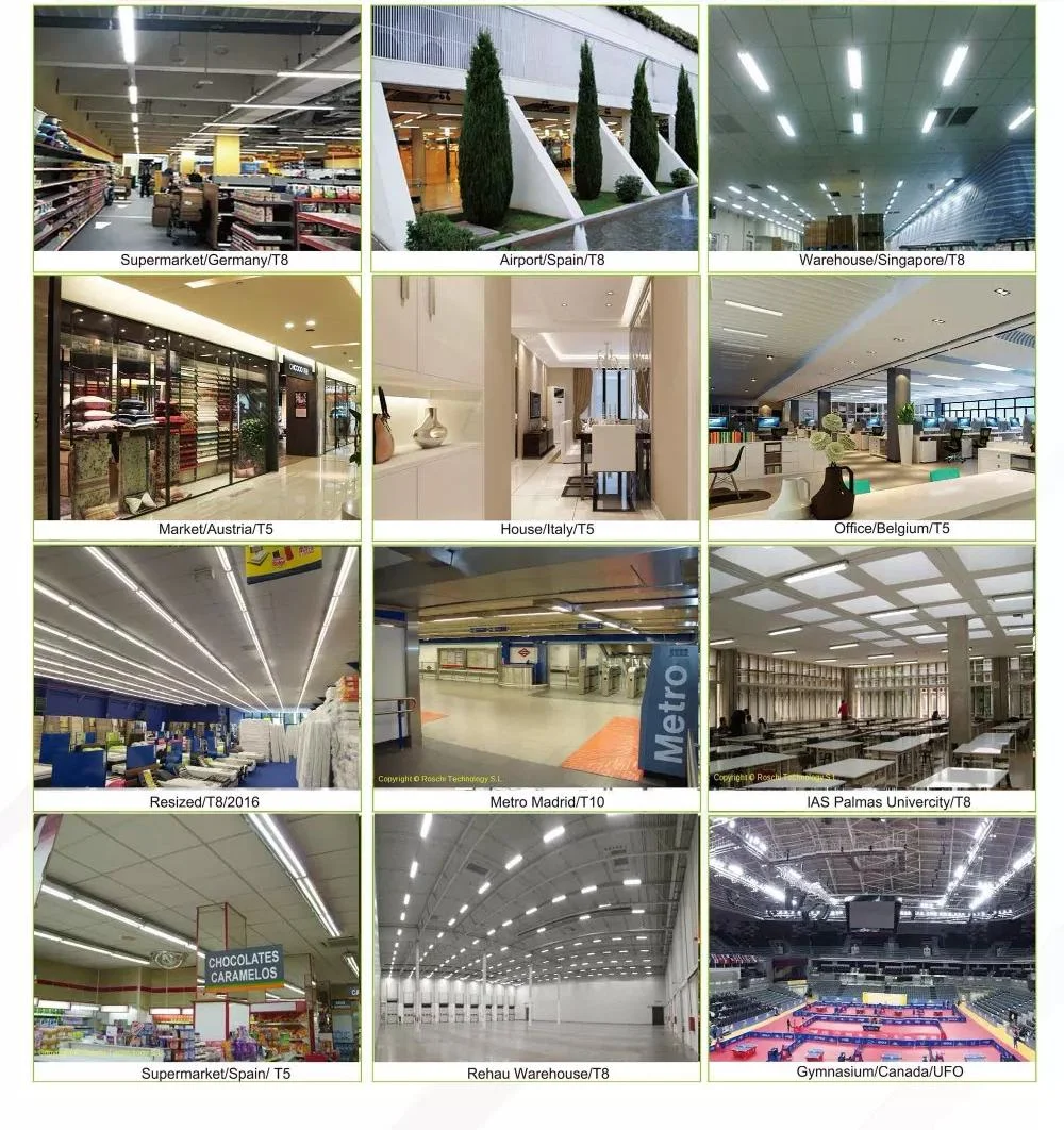 t5 600mm 2ft 175lm/w 160lm/w LED T5 6063 aluminum body+ pc lens tube light indoor lighting