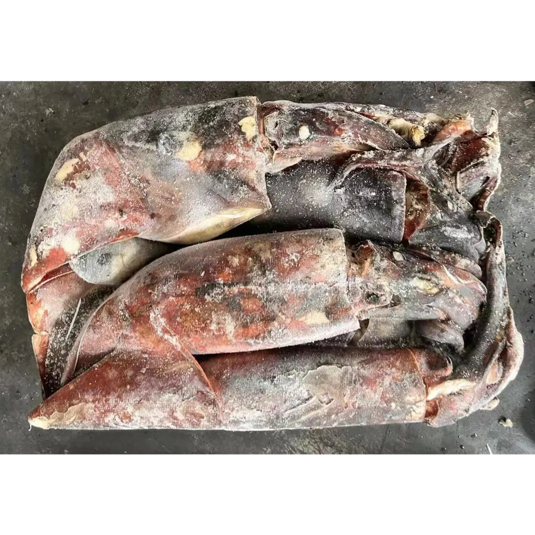 Горячая Распродажа, морской замороженный перуанский кальмар, 2-4 кг, гигантский кальмар