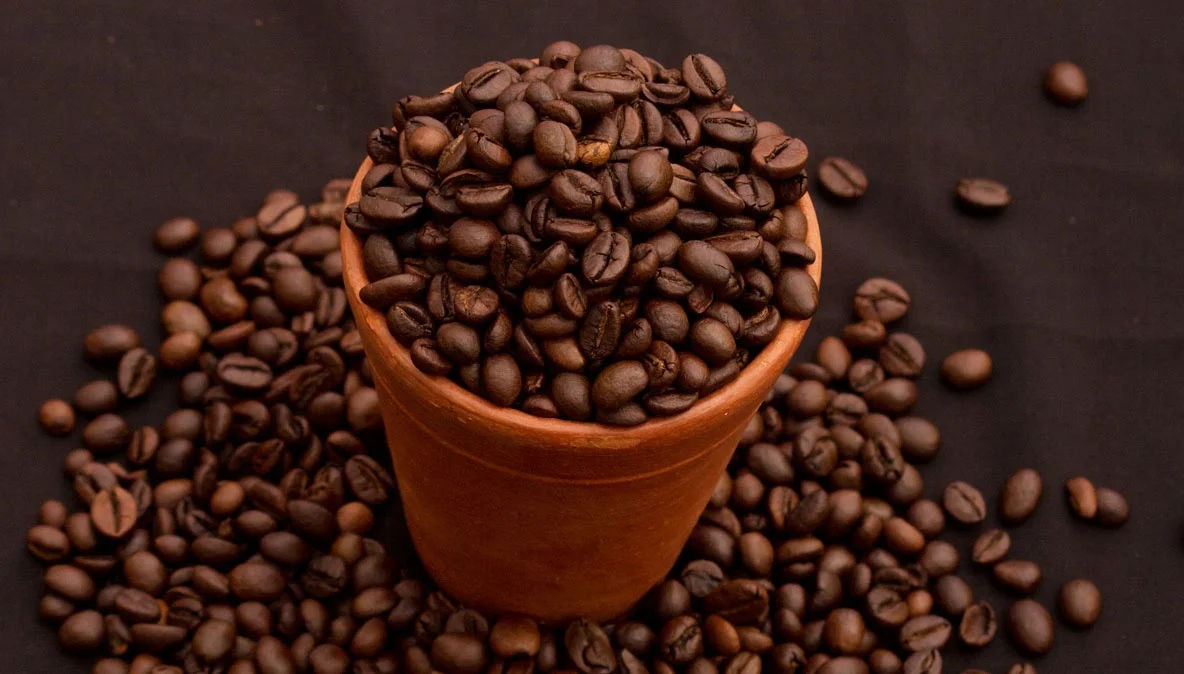 Italian Espresso Blend Arabica Coffee Beans OEM for coffee shop