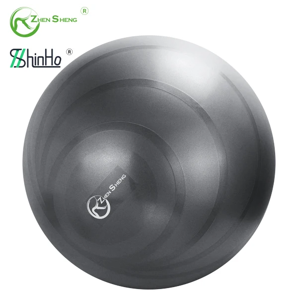 Zhensheng 2024 Hot Sale Stability Inflatable Anti Burst Balance Ball Eco Friendly PVC Swiss Yoga Fitness Ball with Pump