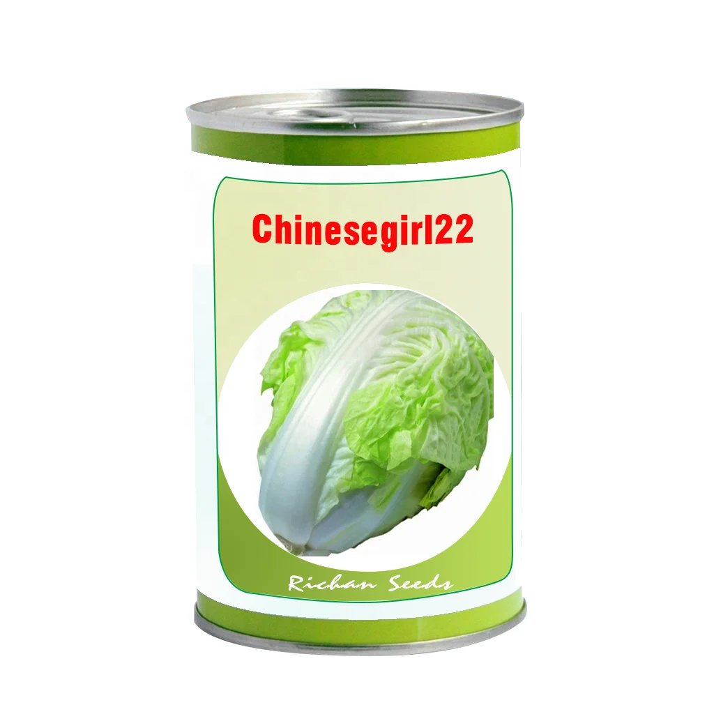 
F1 hybrid Chinese cabbage high germination green white color diseases resistances fast growth vegetable seeds 