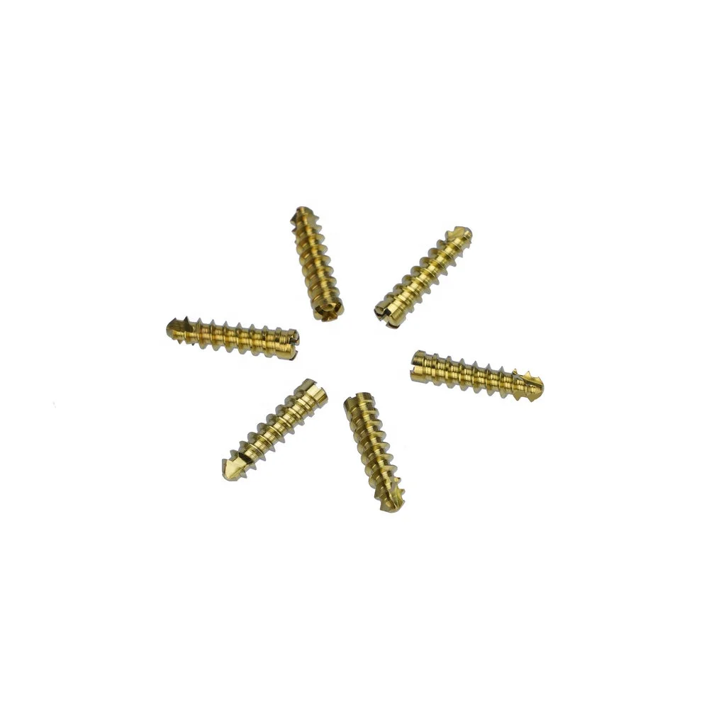 Factory Price Orthopedic Surgical Instruments 2.4mm Locking Screw Stainless Steel Screw Implant Bone Surgery