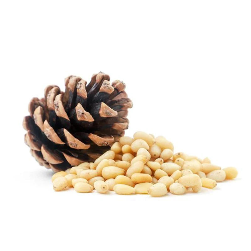 Wholesale Cheap Bulk Brazilian Healthy  Food Grade Available Long Light Yellow Pine Nuts Kernels For Sale