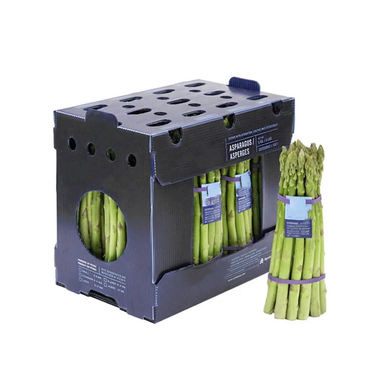 Manufactory 2023 Custom Hot Selling Wholesale Polypropylene To Go Pp Hollow Corrugated Fresh Packaging Ice Seafood Box