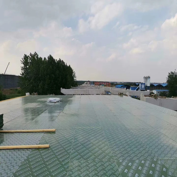 PP plastic wooden sheet 5x10 18 mm laminated plywood sheets