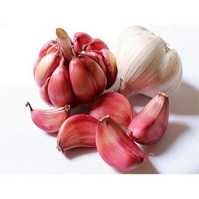 Новый экономичный чеснок, фиолетовый чеснок для свежего и сушеного очищенного чеснока