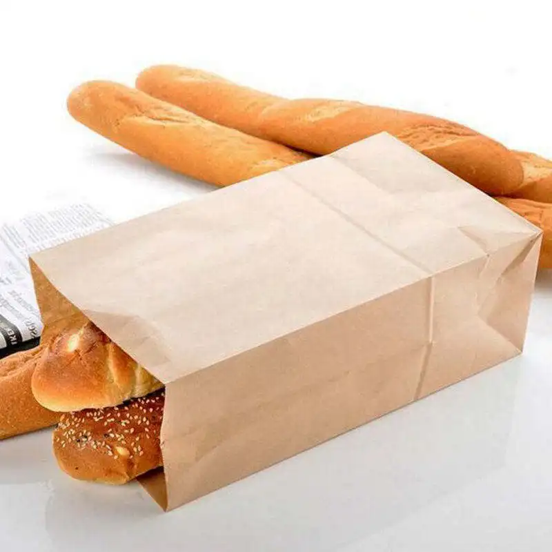 Brown Kraft Paper Bag Eco-Friendly Disposable CMYK for Food Carrying Shopping and Gifts Hot Selling from China Manufacturer