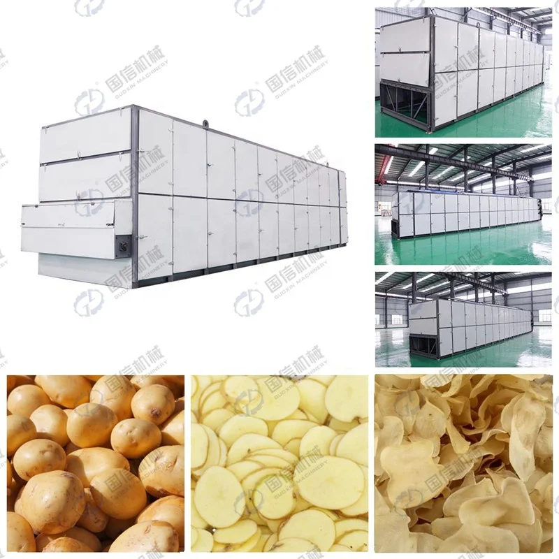
high profit agriculture vegetable pease mesh belt dryer 