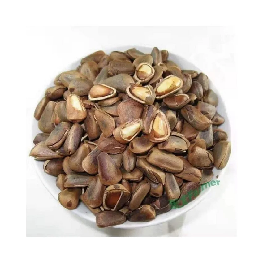 
Good Quality Appetizing and Invigorating The Spleen Pine Nuts Kernel 