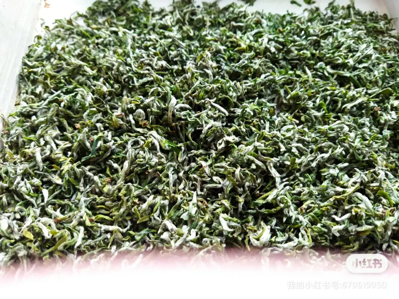 Pi Lo Chun green tea chinese famous green tea