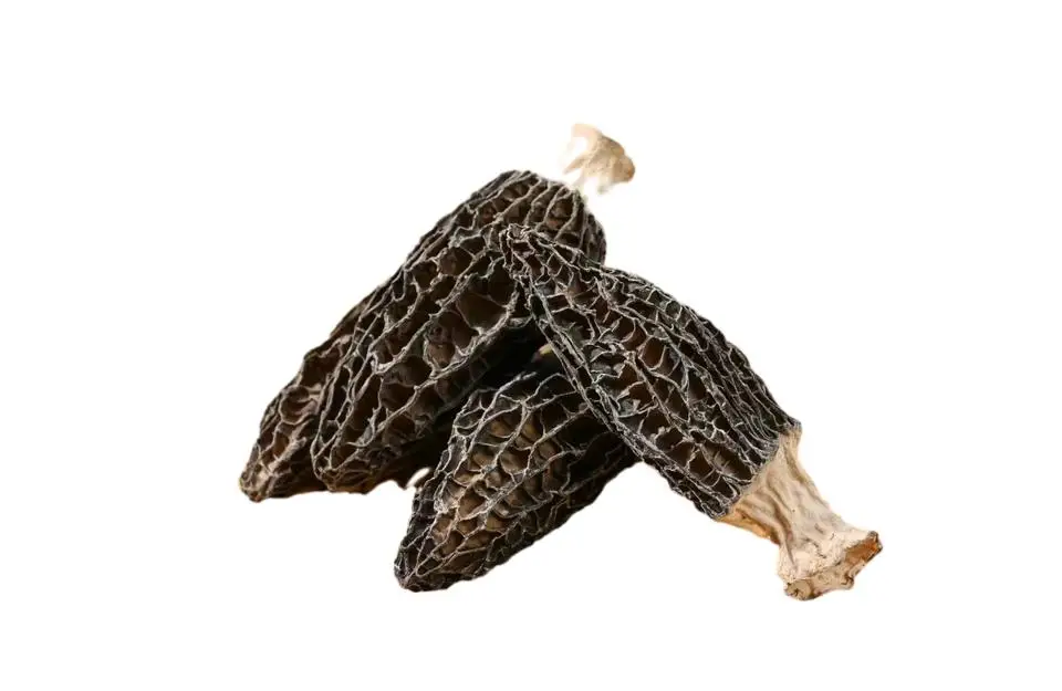 Premium Chinese morel mushrooms, base straight hair, wholesale mushrooms & truffles