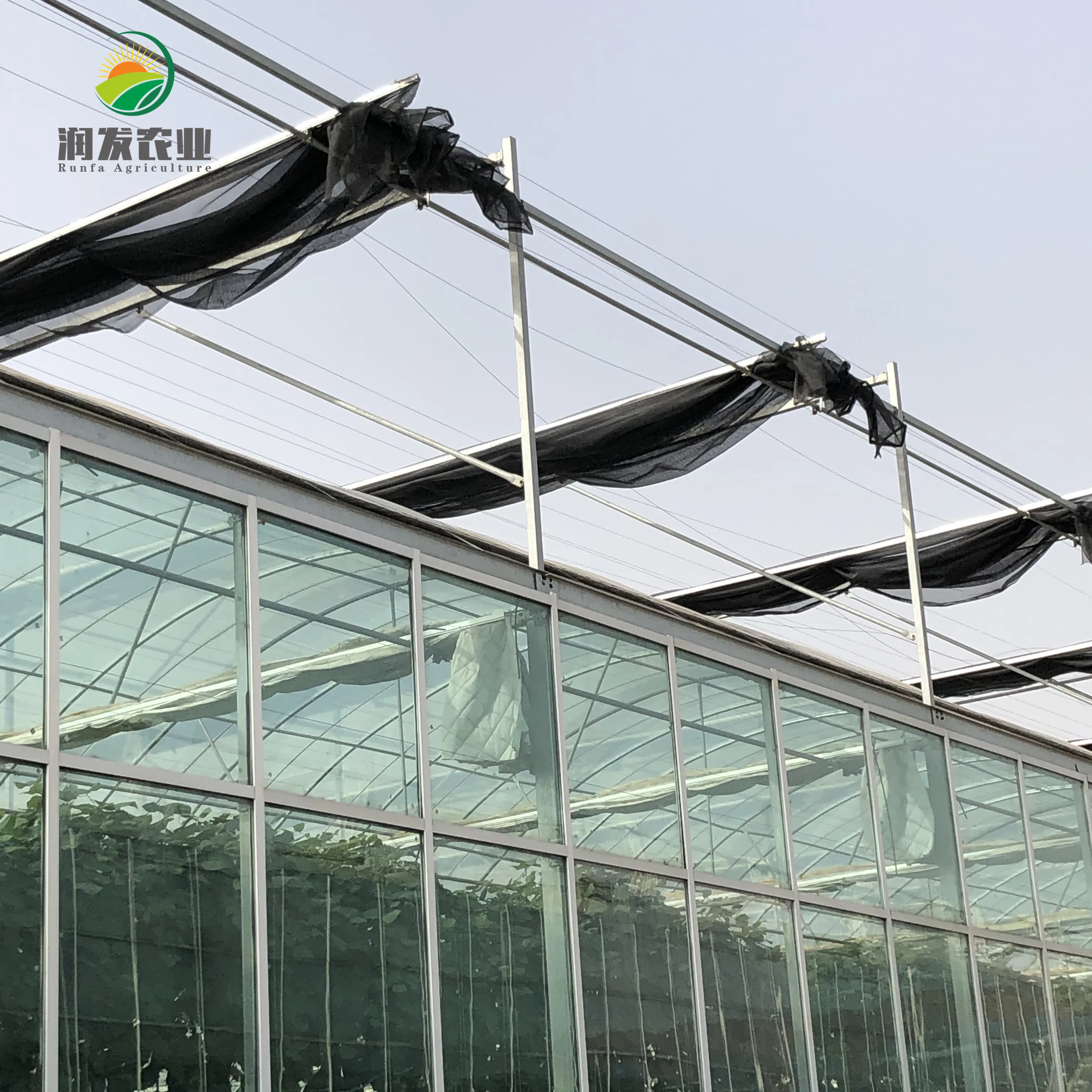Smart Glass Greenhouse For Soilless Culture System Greenhouses Wholesale