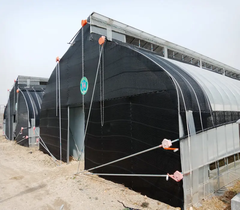 Mushroom caterpillar tunnel greenhouse in factory price