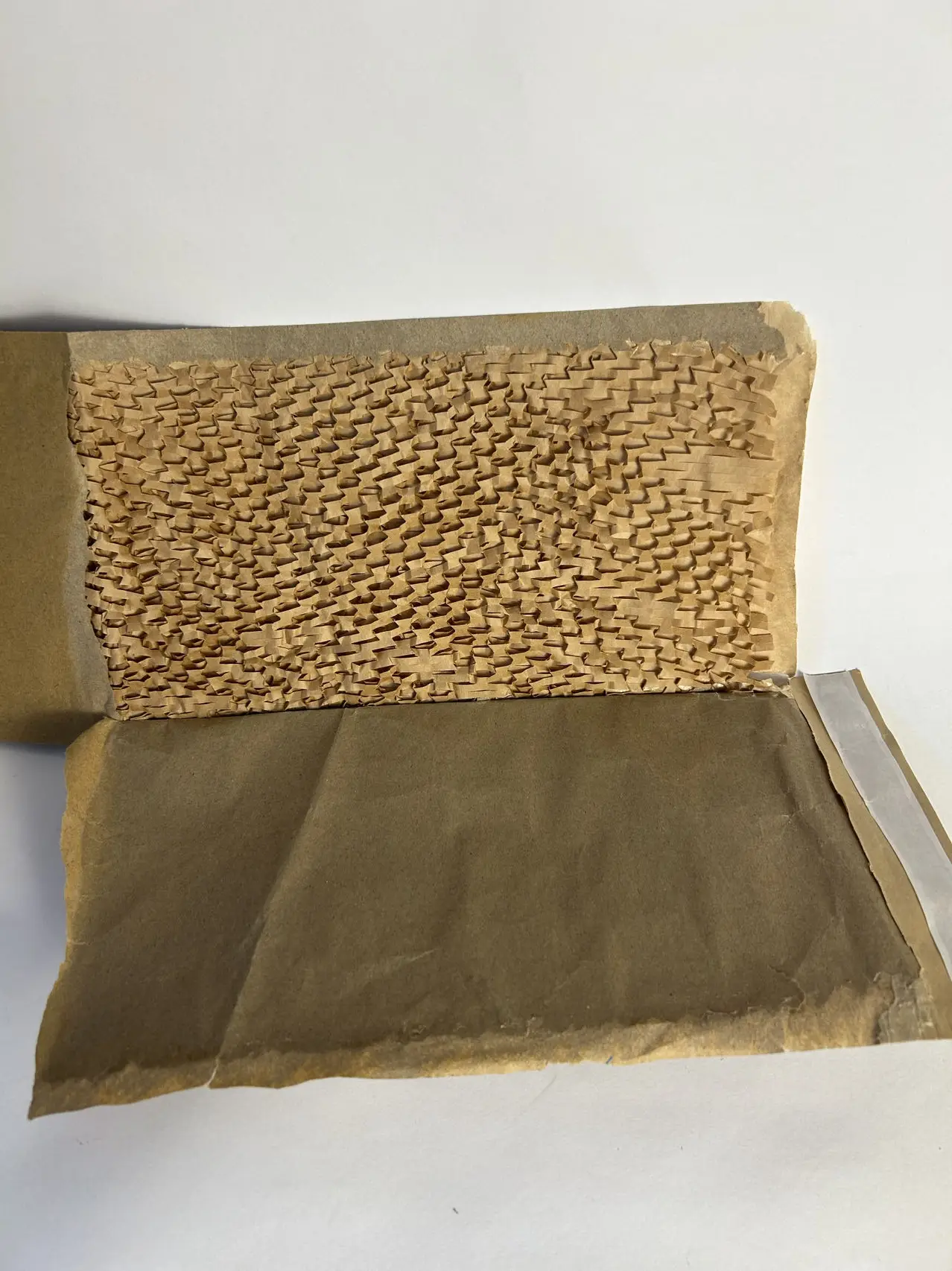 Compostable kraft paper mailer padded bag envelope with cushioning paper fibres for shipping