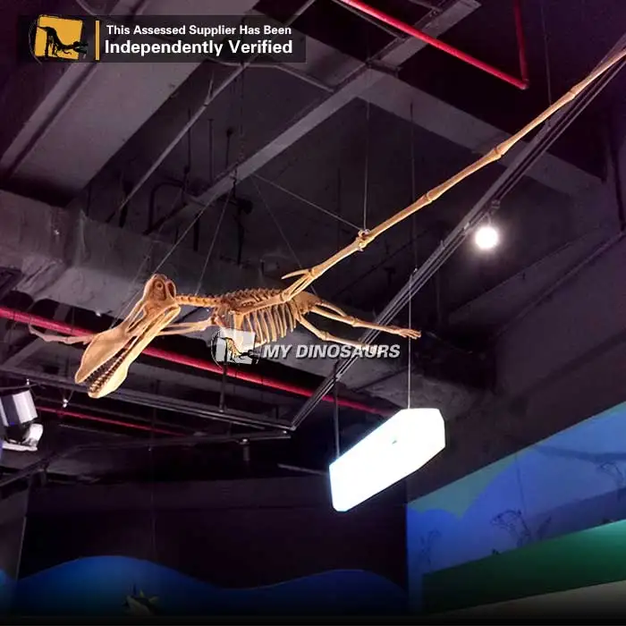 Лучший реалистичный каркас Велоцираптора MY DINO DS022 из