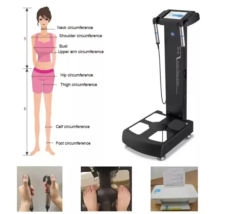Cheap Price Bioimpedance Body Fat Analysis Machine