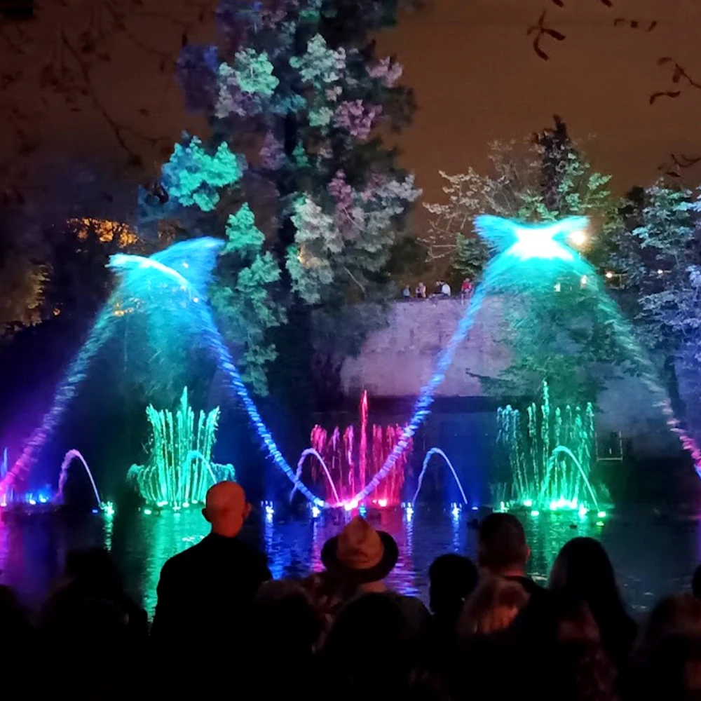 AWS Best Price Programmable Fountain New Design Colorful Music Fountain With Rgb Lights