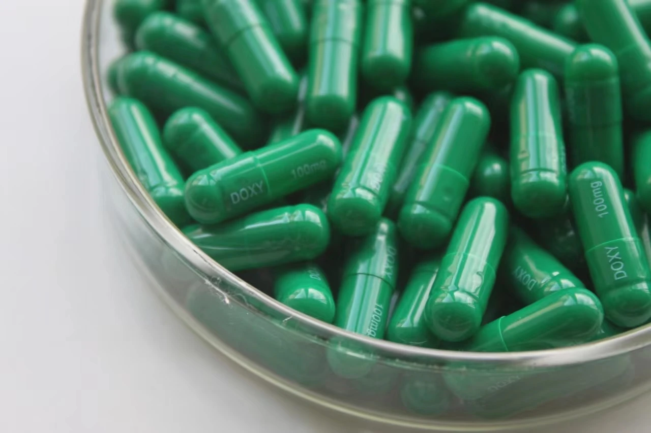 The Best Printed Empty (hollow ) Hard Gelatin Capsules