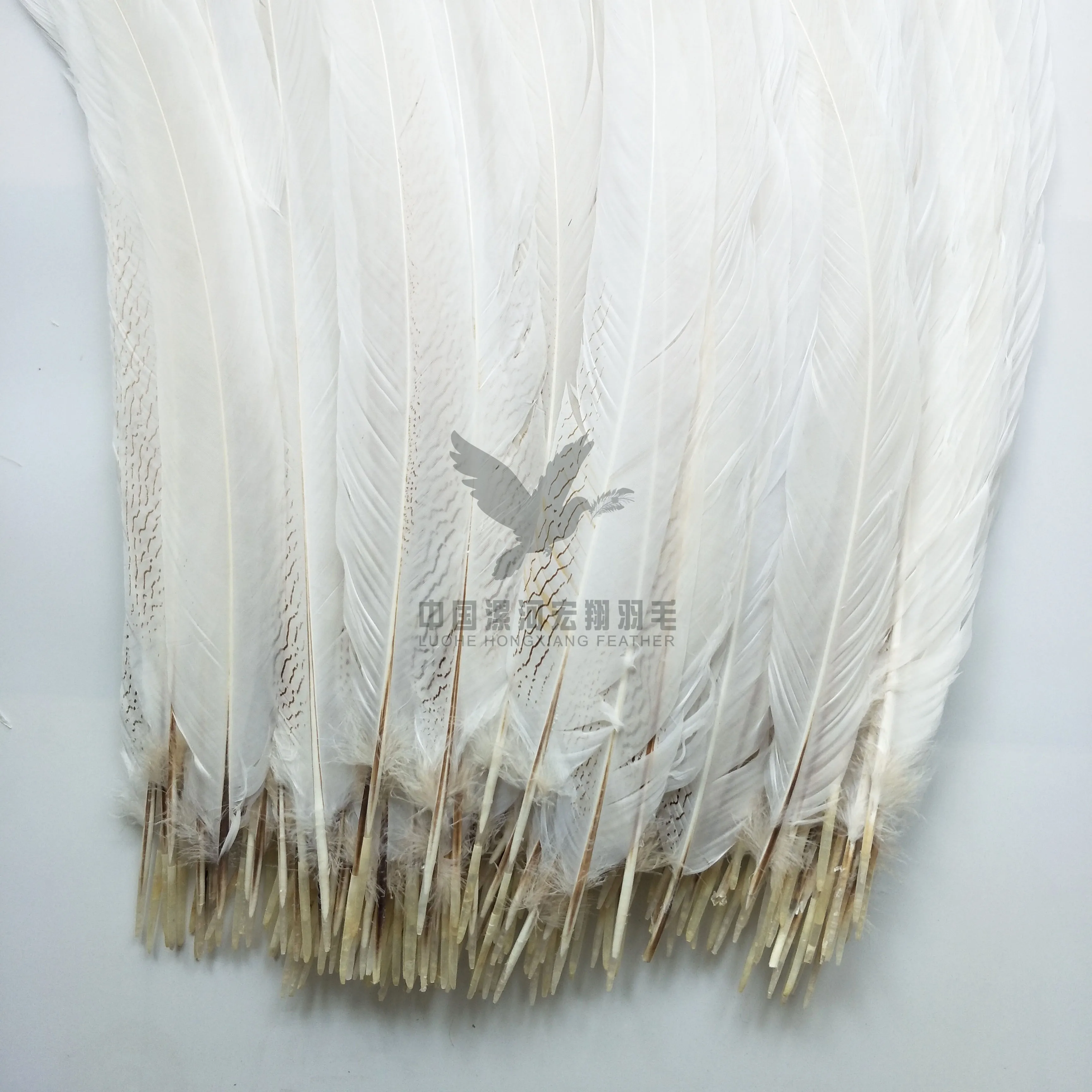  90-100cm Long size silver pheasant tail