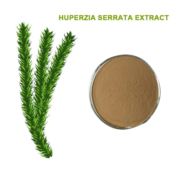 Huperzia serrata Huperzine A/Huperzia Serrata Extract 1%99%