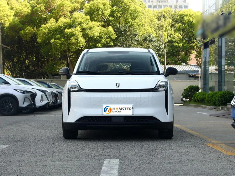 Best seller New Energy Vehicles Electric Car Pentium NAT 2021 Cheap Vehicles Used Cars with 0km mileage In Sale Online