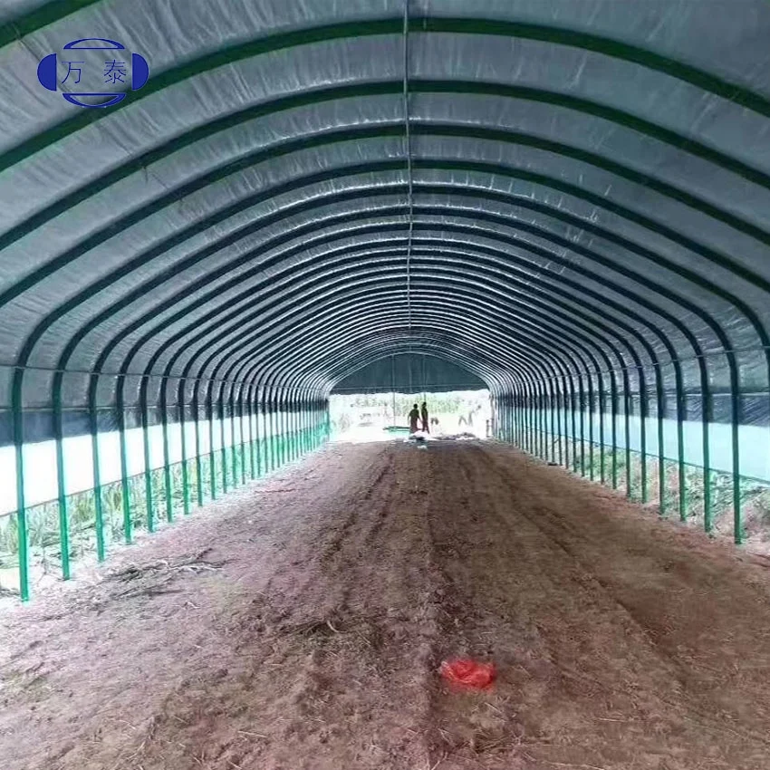 
Best selling agaricus bisporus growing net mushroom planting net mushroom cultivation nets greenhouse film 