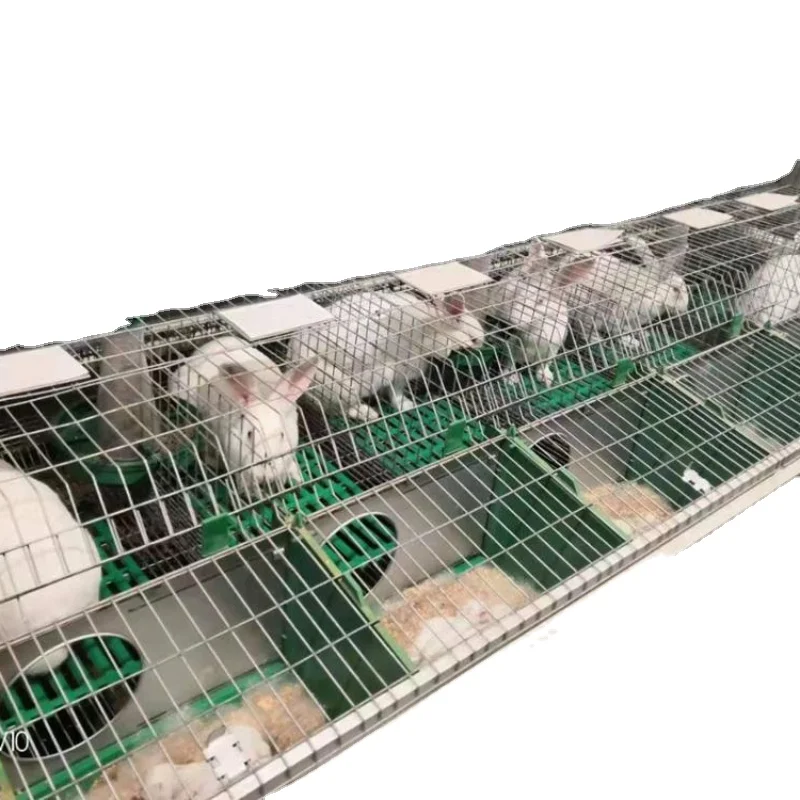 Клетки для кроликов из фабрики Китая слой сварный кролик клетка проволочной