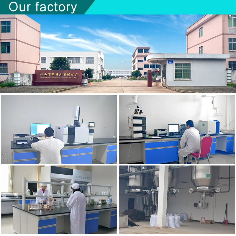 10ml Rose Oil Rose Water Low MOQ Rose Essential Oil for Women Beauty Soap Candle Fragrance Perfume oil