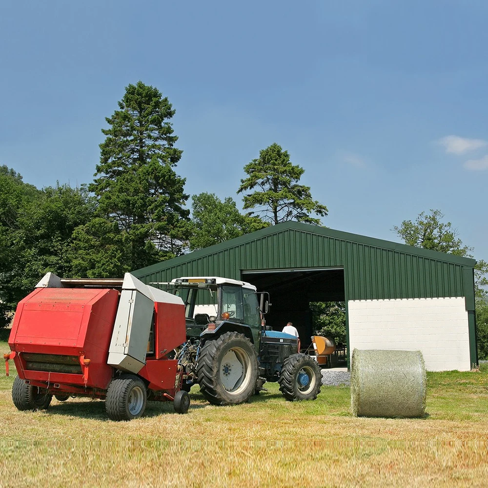 Prefabricated Warehouse Workshop Plant Hangar Shed Construction Industrial Metal Materials Steel Structure Building