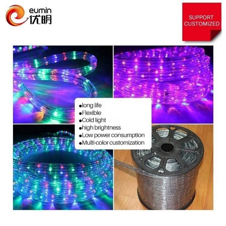 China Suppliers DC12V/24V 3 Wire led rope light 100m