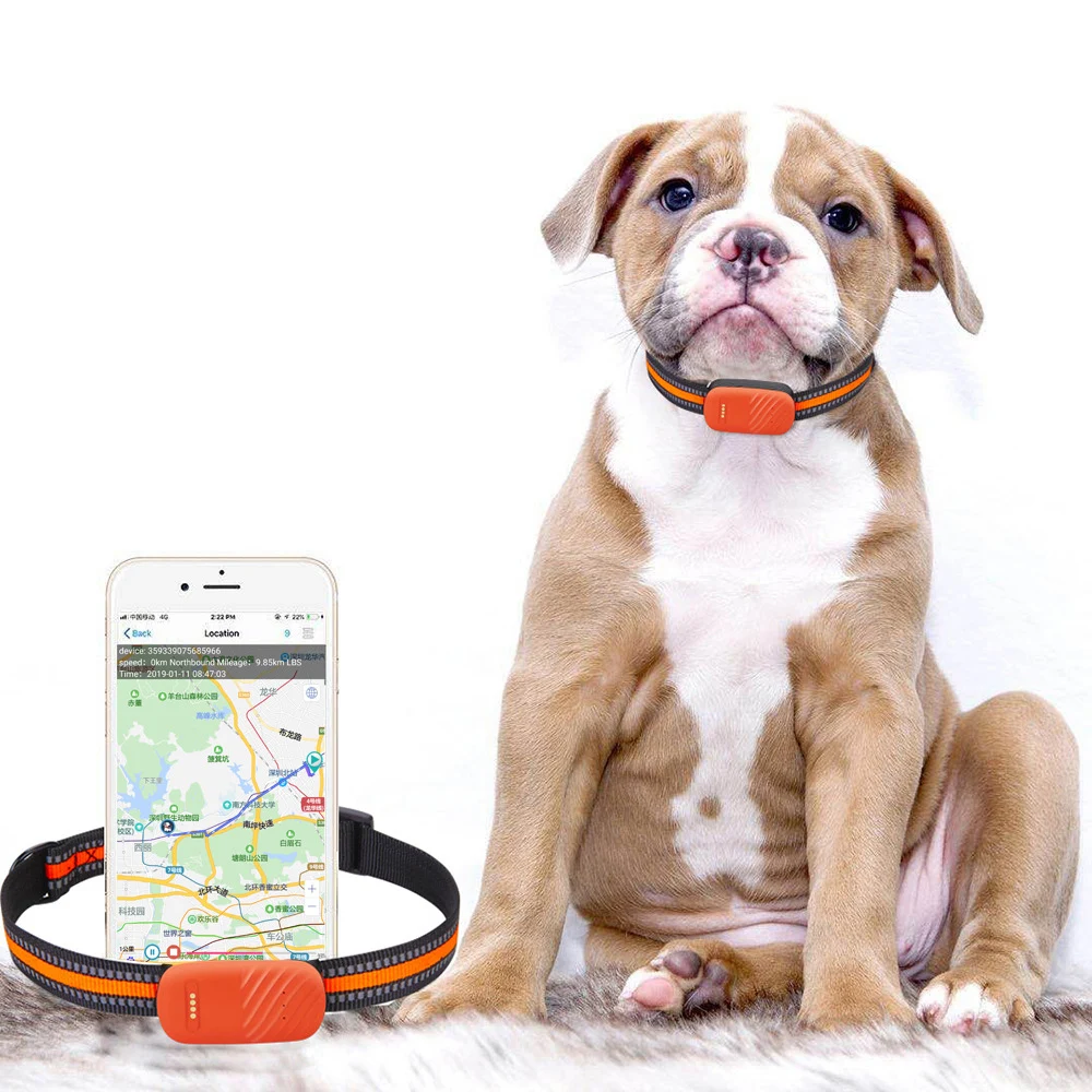 OEM ODM водонепроницаемый ошейник для собак GPS GSM GPRS Wifi умный трекер домашних животных с приложением + Web SMS электронный устройство отслеживания