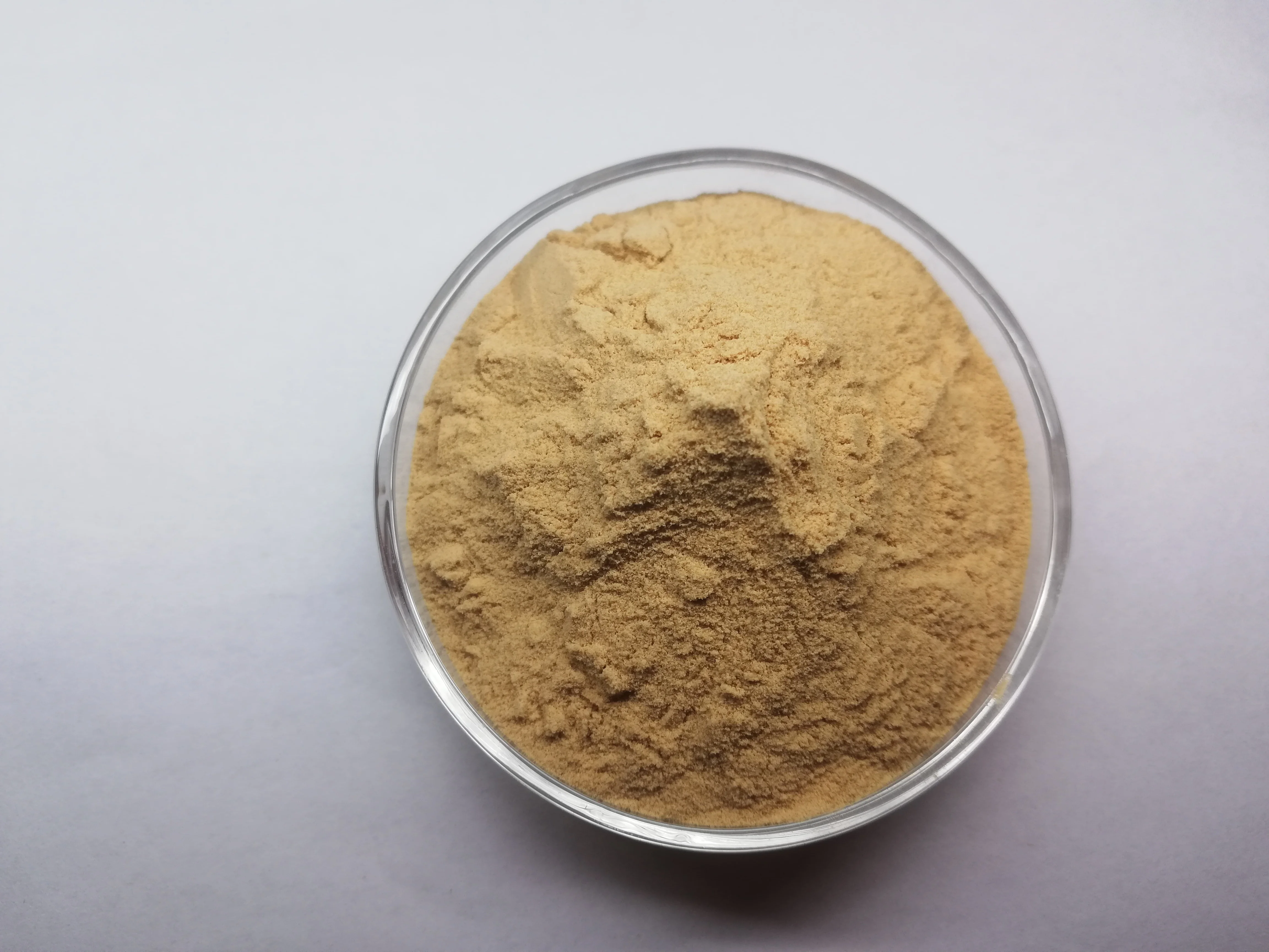 
Supply pure organic isabgol psyllium husk powder in bulk with best price 
