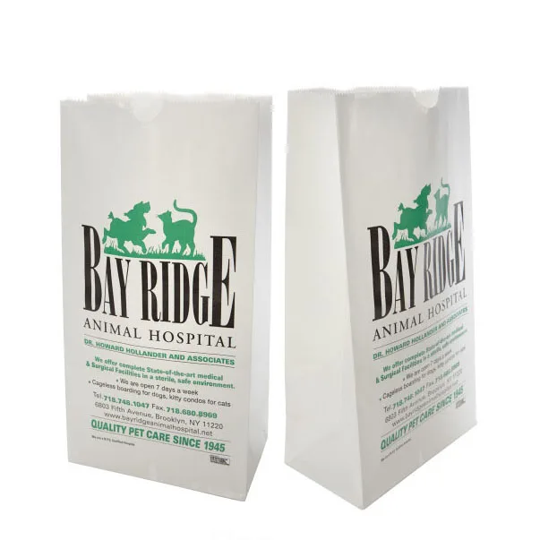 Custom Logo Rx Printed Hospital Prescription Pill Medicine Kraft White Packaging Bag Medical Retail Pharmacy Paper Bags