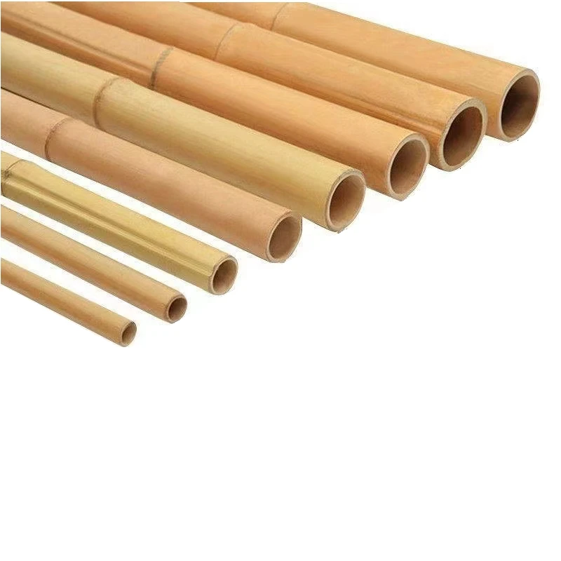 Bamboo Cane Big Pole Natural Straight Agriculture Cheap Raw Bamboo  Plant Support 3