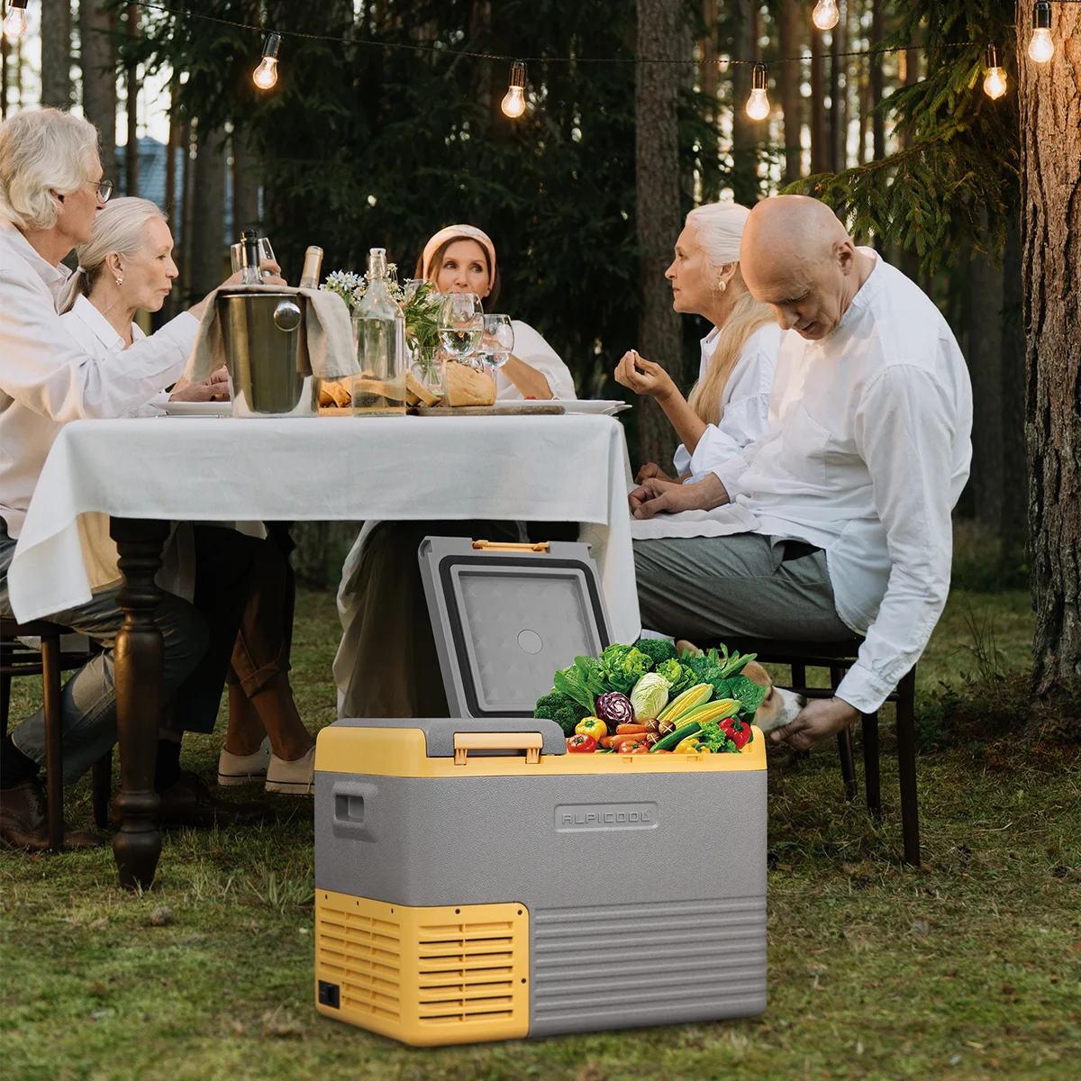 Alpicool CLD Series Dual Zones Cooler Removable Door Design Freezer Portable Camping Car Fridge 12V Dual Use Refrigerator