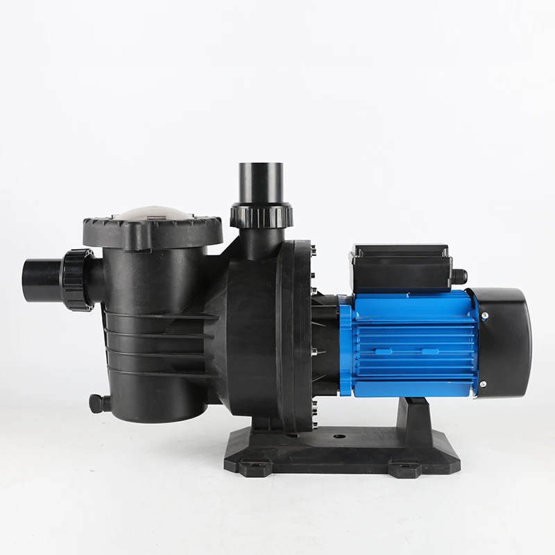 RAS volume High Pressure steel brushless 1HP dosing water circulation Stainless Steel heater hot filter dc Swimming Pool Pump