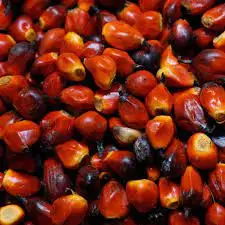 Food Grade USA Plant 100% Pure Natural Olein CP8 Rbd CP10 Quality Elaeis Guineensis Crude Refined Palm Oil (CPO)