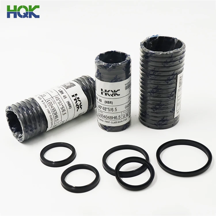 Mechanical Seal Dust-Proof Waterproof Motor Bearing NBR Rubber Seal Oil Seal